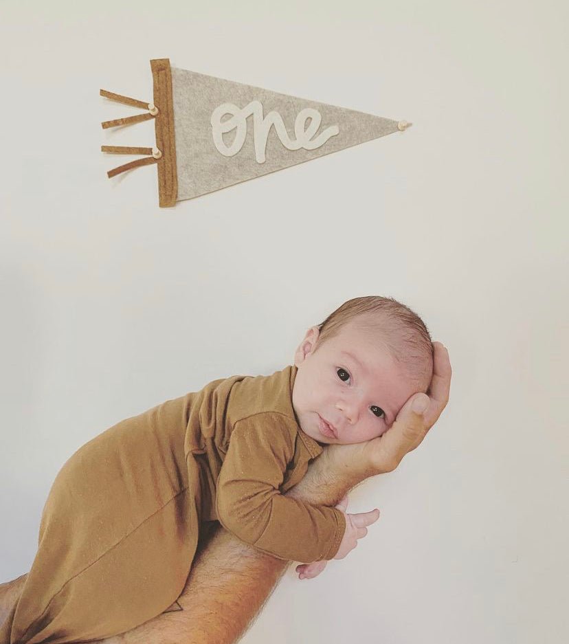 Monthly Milestone Pennant - The Everyday Things Boutique