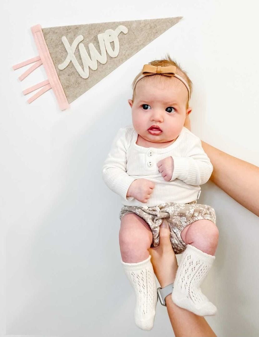 Monthly Milestone Pennant - The Everyday Things Boutique