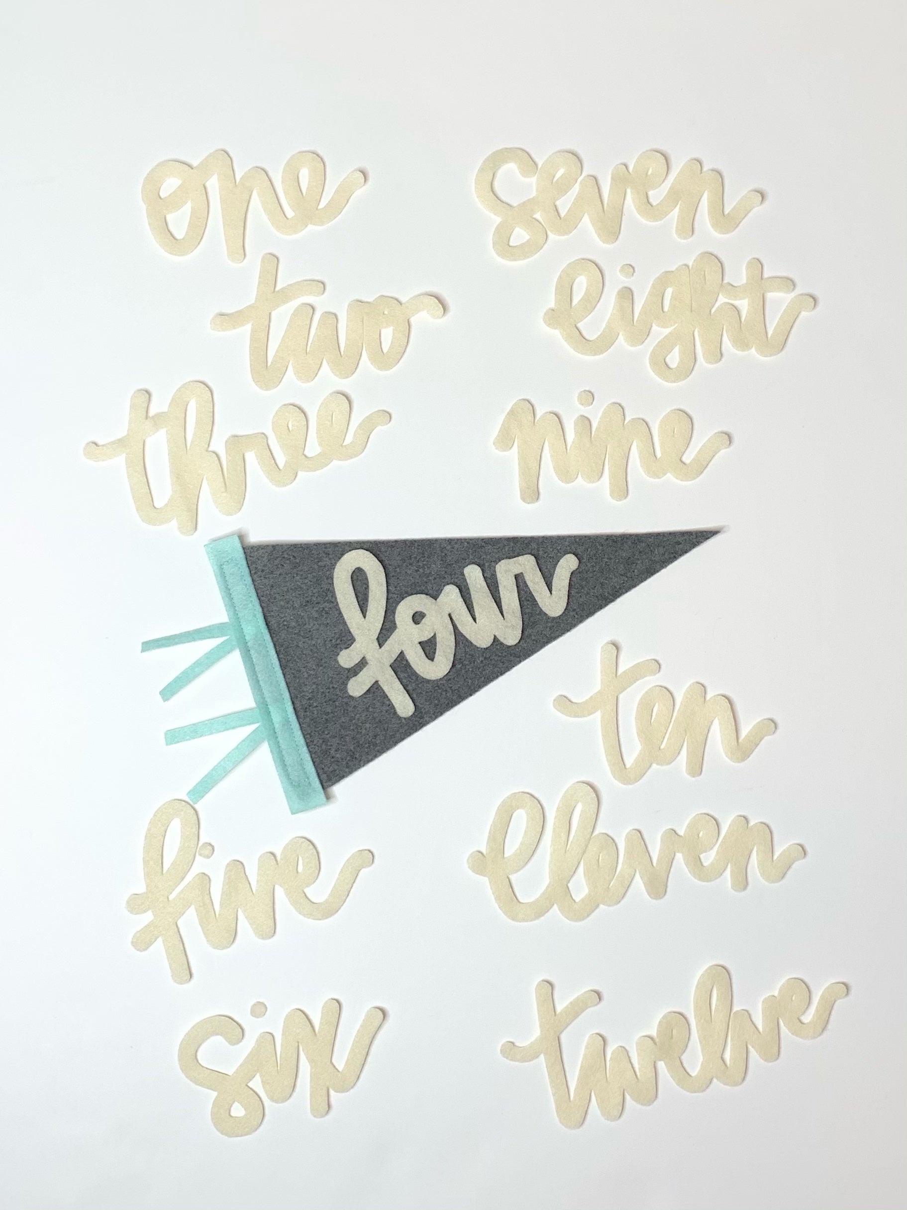 Monthly Milestone Pennant - The Everyday Things Boutique