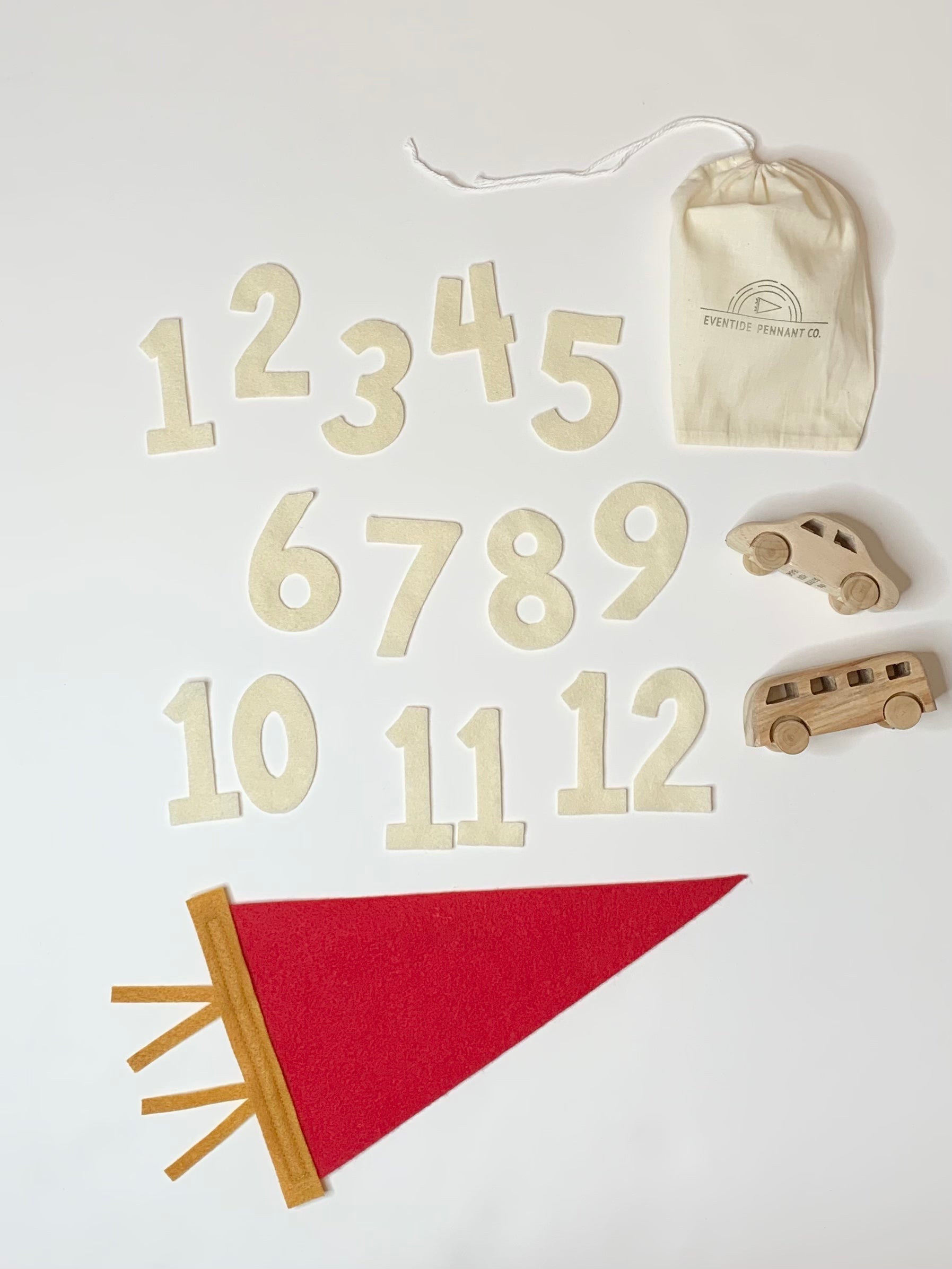 Monthly Milestone Pennant - The Everyday Things Boutique