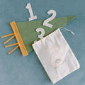 Monthly Milestone Pennant - The Everyday Things Boutique