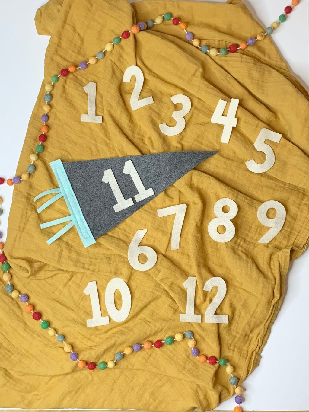 Monthly Milestone Pennant - The Everyday Things Boutique