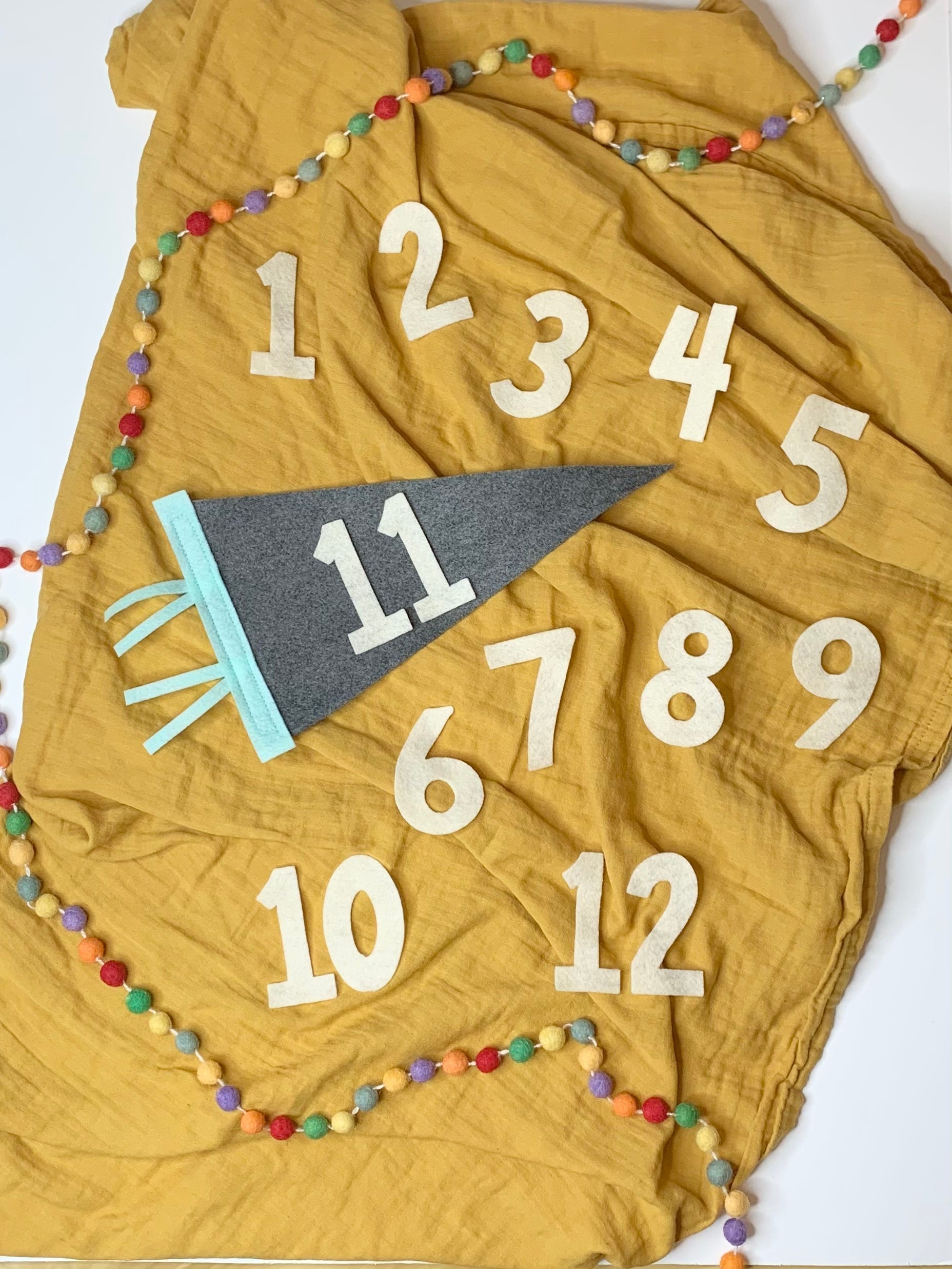 Monthly Milestone Pennant - The Everyday Things Boutique