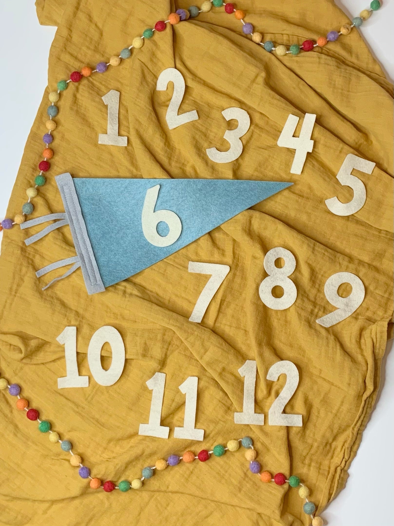 Monthly Milestone Pennant - The Everyday Things Boutique