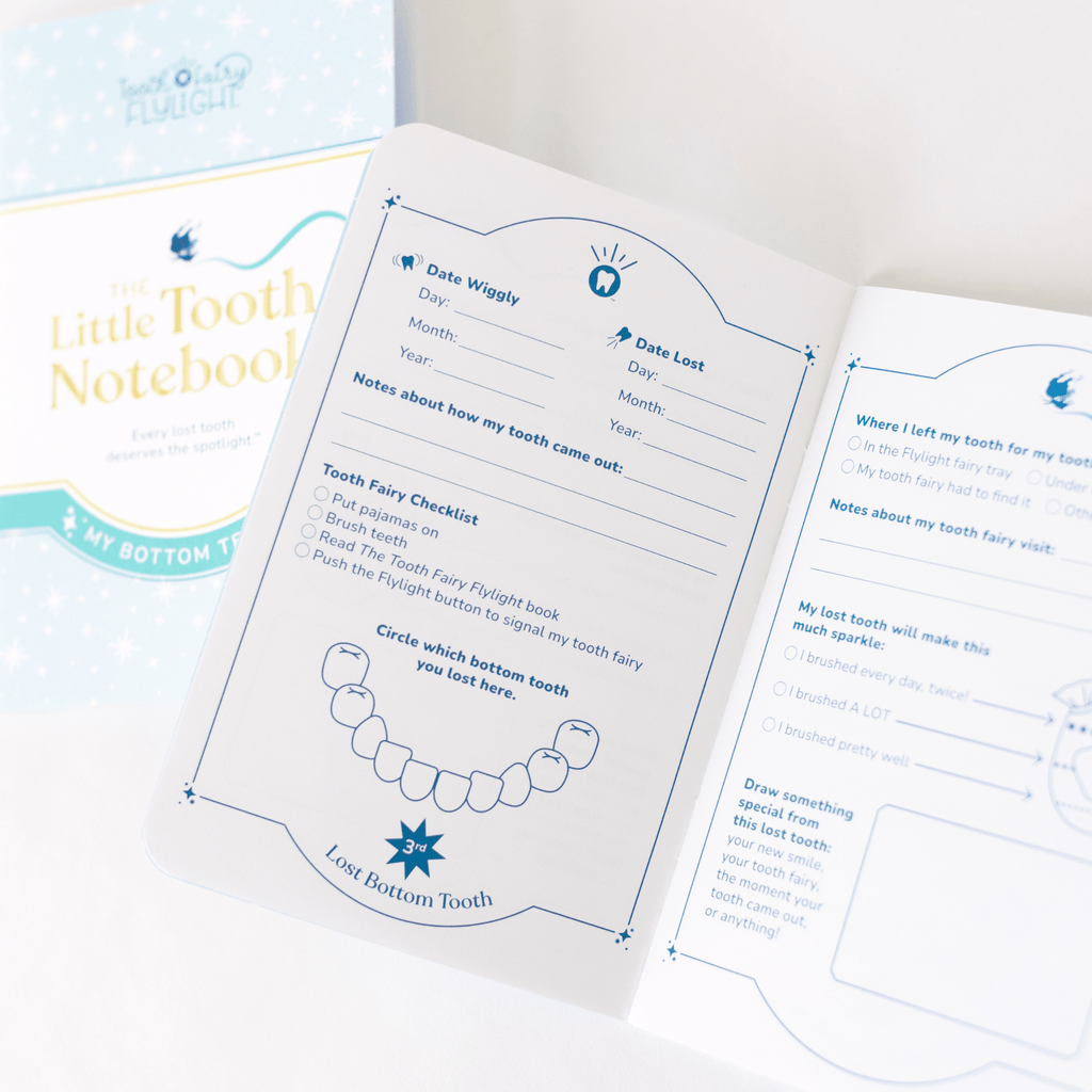 Tooth Fairy Flylight Boxed Set - The Everyday Things Boutique